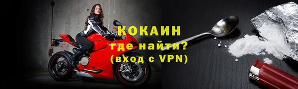 гидра Белокуриха