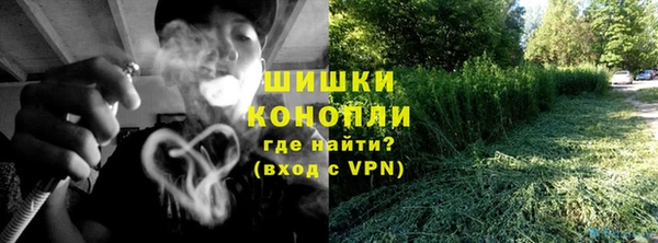 гидра Белокуриха