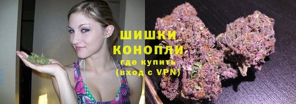 гидра Белокуриха