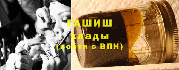 гидра Белокуриха