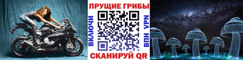 купить наркотики цена  Кувшиново  кракен онион  Галлюциногенные грибы прущие грибы 